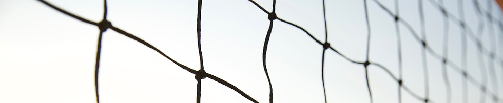 Beach Volleyball Net