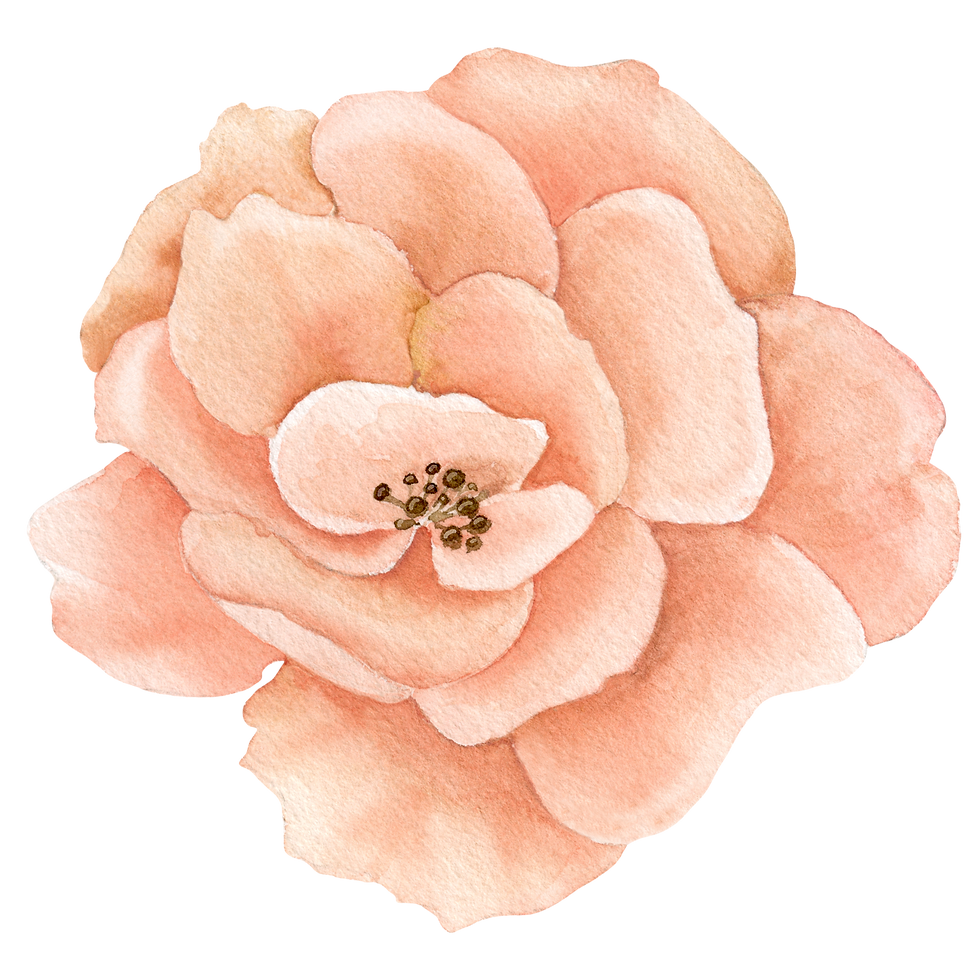 Peach Flower Illustration