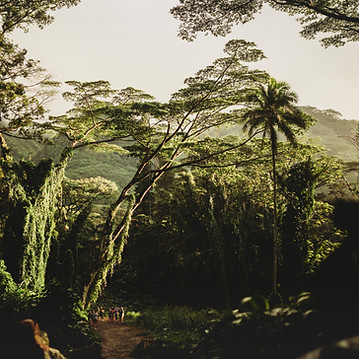Belle nature