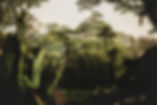 Beautiful Nature