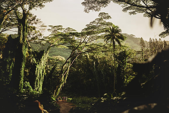 Belle nature