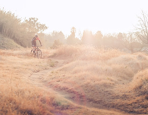 Cycling in Nature