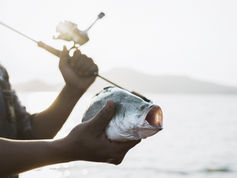 Regular fishers are sustainable: Blue Ventures' quest to transform coastal conservation