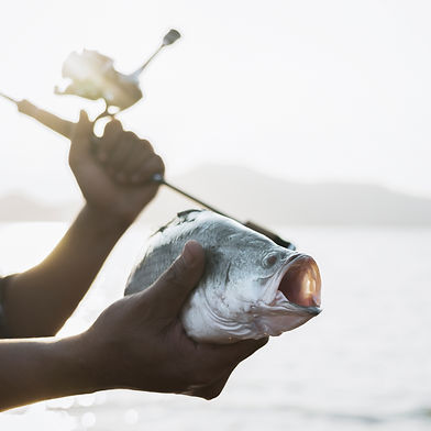 Fishing