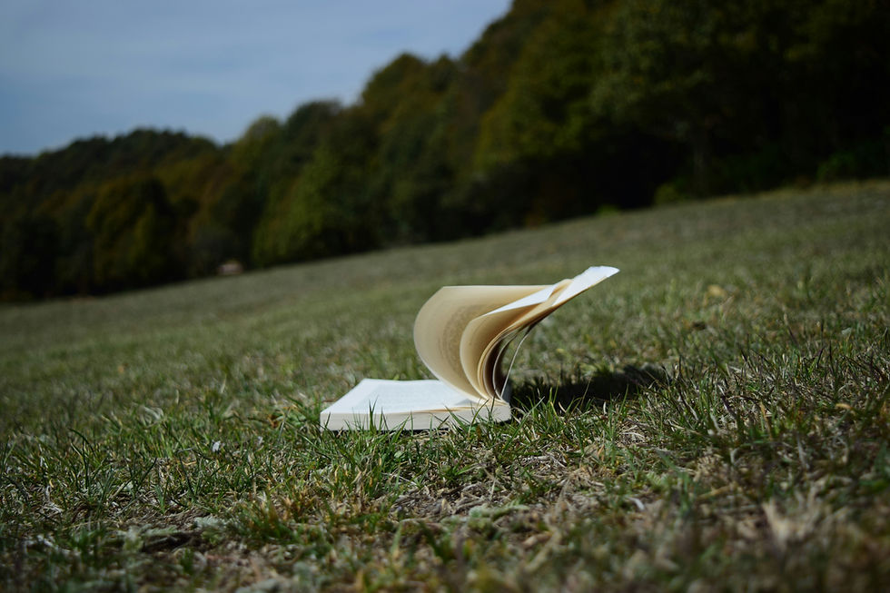 Livre ouvert en plein air