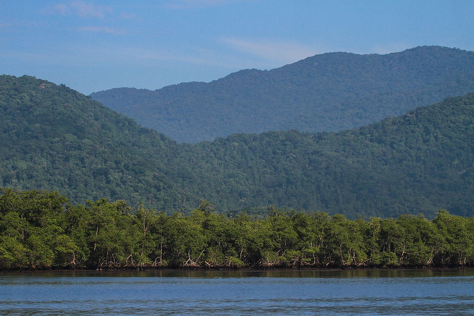 Montanhas com vegetação