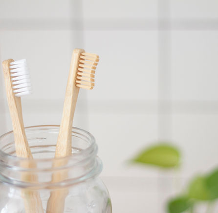 Wooden Toothbrushes