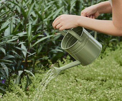 Watering Plants Outdoors