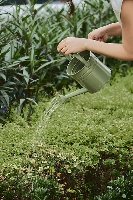 Arrosage des plantes à l'extérieur