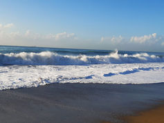 Is Marine Licensing working for you?