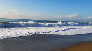 Is Marine Licensing working for you?