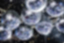 Disco Balls