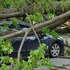 What to do after a storm damages your home or property.