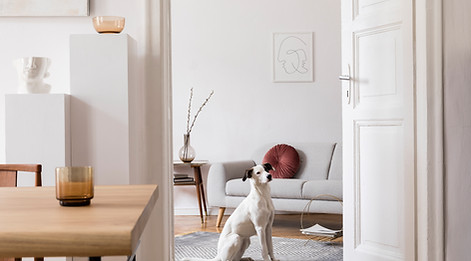Home interior design