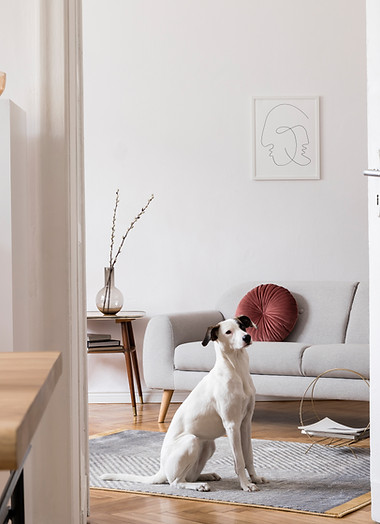Home interior design