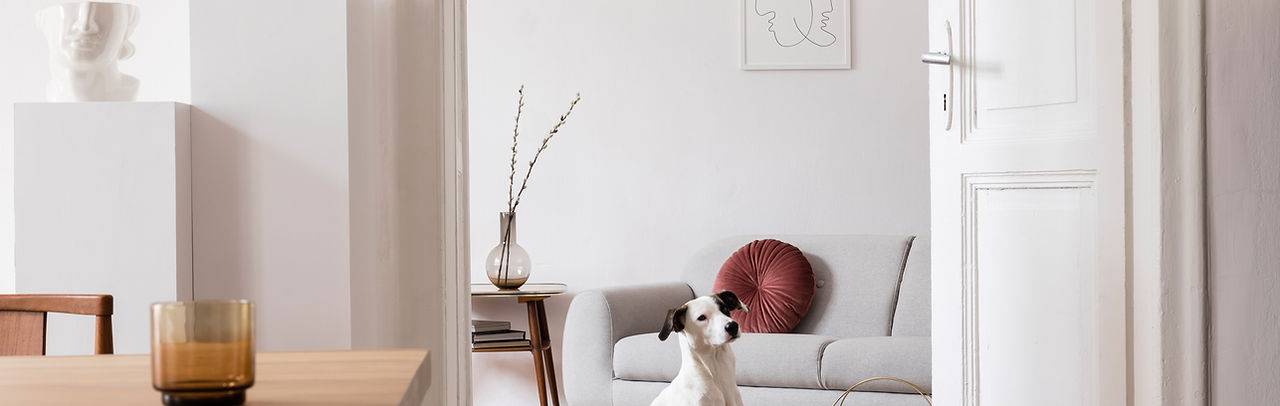 Home interior design