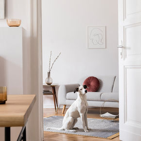 Custom-branded promotional products for home and living businesses, perfect for home decor stores, furniture brands, and lifestyle companies looking to enhance brand visibility with practical and stylish items.
