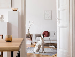 Important Home Factors