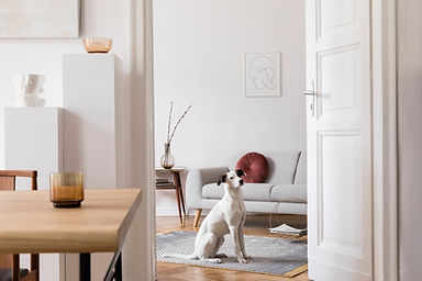 Home interior design