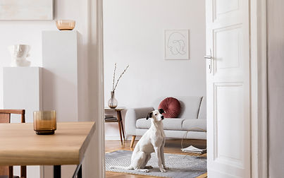 Home interior design