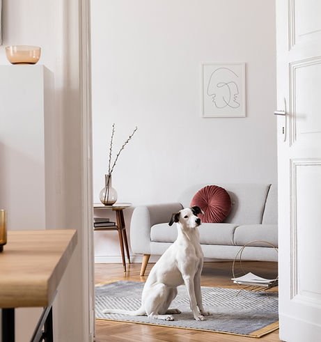 Home interior design