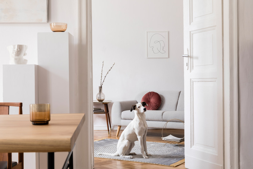 Home interior design