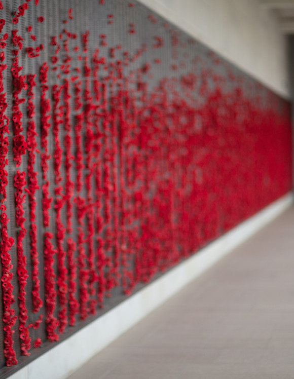 Memorial Wall Display