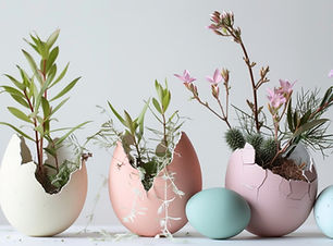 Plants in Egg Shells