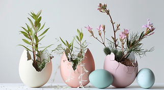 Plants in Egg Shells
