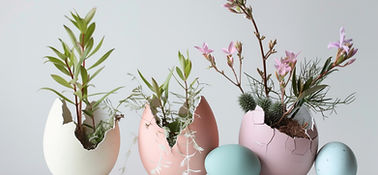 Plants in Egg Shells