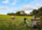 Grassland