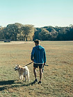 Day at the Park