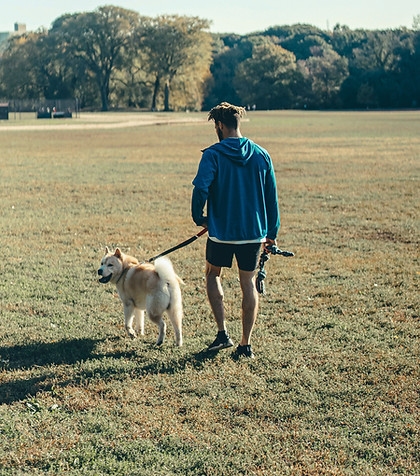 Un homme promène un chien