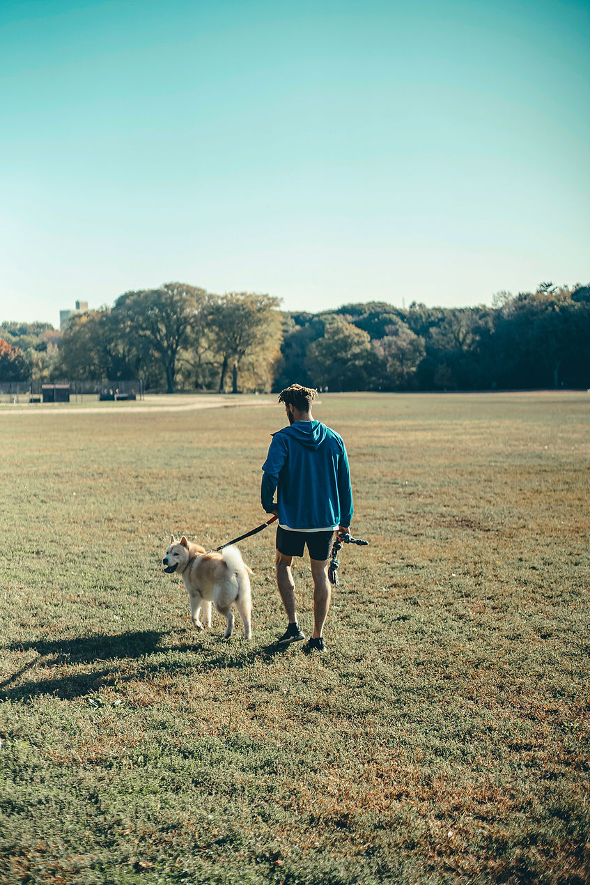 Day at the Park