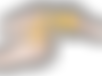 Entry 17: The Alcoholic