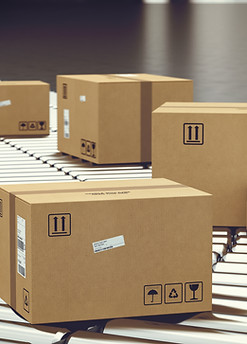 Boxes on Conveyor Roller