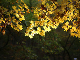 Dying Longer Gives Us Something We Never Had Before | End of Life Planning.