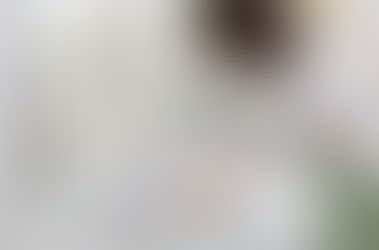 INPS: Lavoro Domestico – importo dei contributi dovuti per l’anno 2026