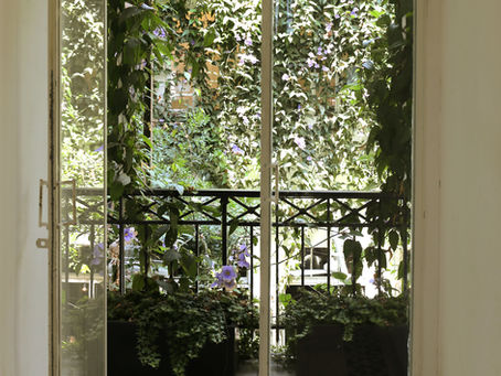 Do nada um jardineiro