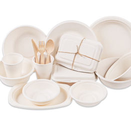 Tiffin Services in Delhi/ NCR