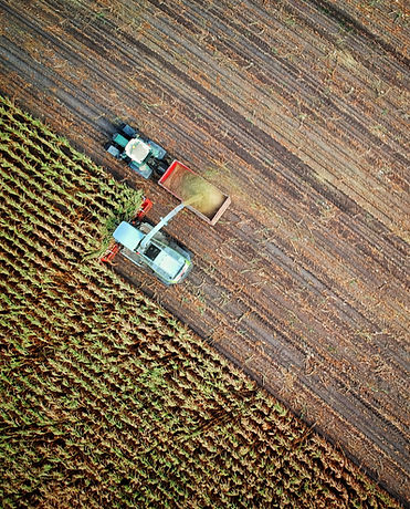Harvesting