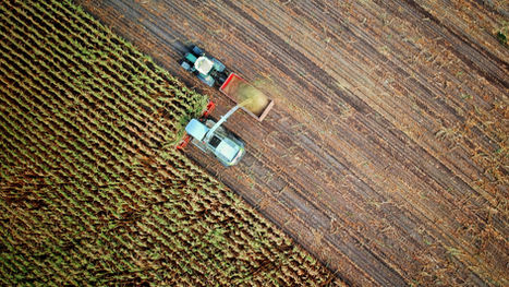 Federal Efforts Ramp Up to Protect Rural America