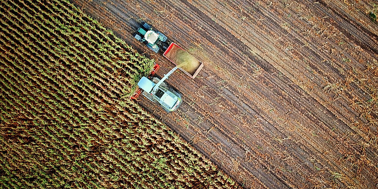 EU adopts New Carbon Farming Methodologies to strengthen Certification across Agriculture and Forestry