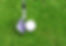 Golf Club And Ball