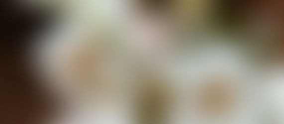 LETTRES AUX ARTISANS DE LUMIERE