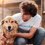 Dog Shelter volunteer