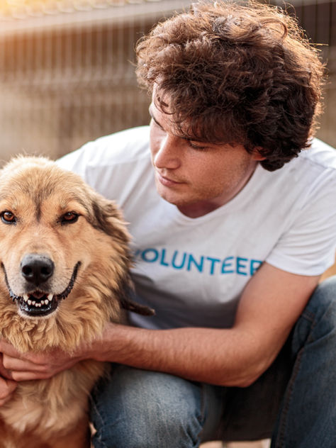National Shelter Dog Month: Support Dog Families | k9HS Online
