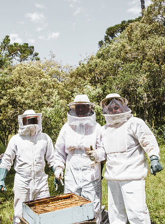Beekeepers