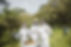 Beekeepers