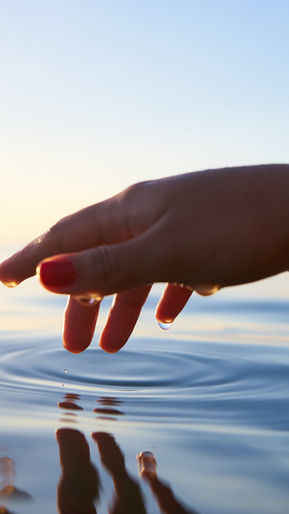 Ossos Fortes e Saudáveis para a Vida!